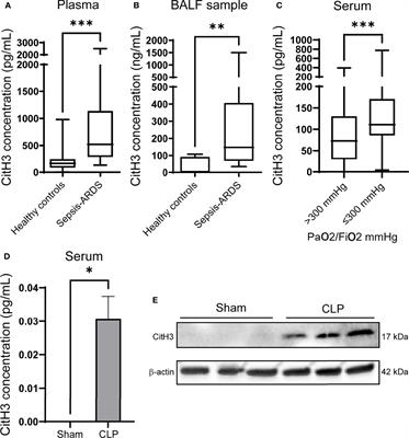 Citrullinated Histone H3 Mediates Sepsis-Induced Lung Injury Through Activating Caspase-1 Dependent Inflammasome Pathway